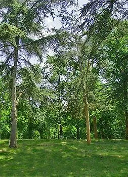 Albirondack Camping Lodge & Spa 3*, Albi Fransa